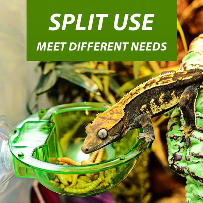 Arboreal Reptile Live Antiescape Sucker Feeder Chameleon Food Basin Wall Double Layer Plastic Bowls for Small Animals D9210 240824