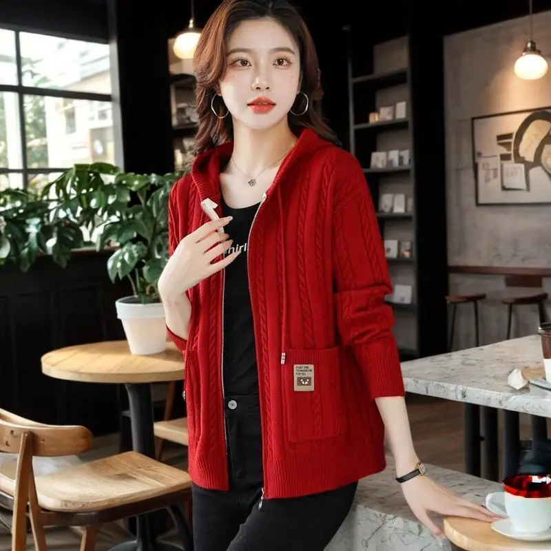 Spring and Autumn Sweaters Hooded Knitwear Fashionable Style Slimming and Loose Zipper Knitted Cardigan Jacket 240824