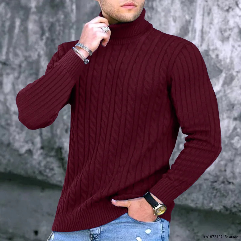 Winter Mens Turtleneck Sweater Knitwear Large Size Clothes Casual Pullovers Personality Fashion Cold Shirts 240824