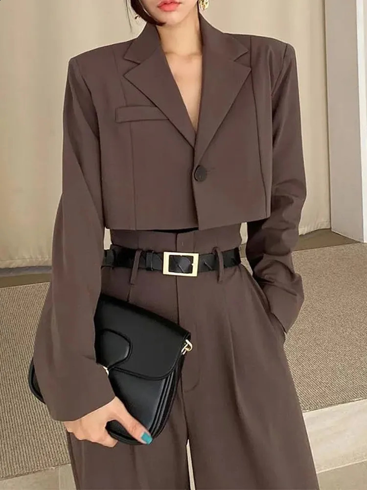 Office Lady Blazer Suits Vintage Two Piece Set Women Long Sleeve Short Blazer High Waist Wide Leg Long Pants 2 Piece Outfits 240826