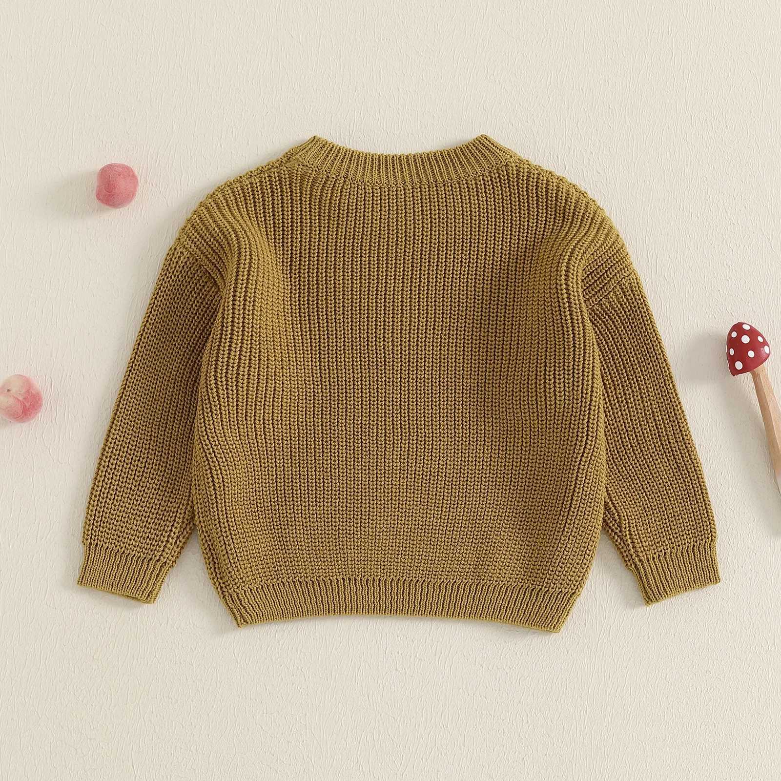 Citgeett autumn preschool newborn girl boy sweater casual embroidery warm knit long sleeved floral knit dressW240824