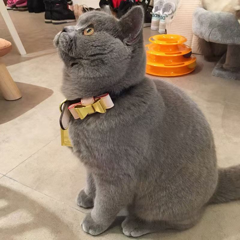 Fashionable elegant leather bow pet collar suitable for Teddy dogs, teacup dogs and cats