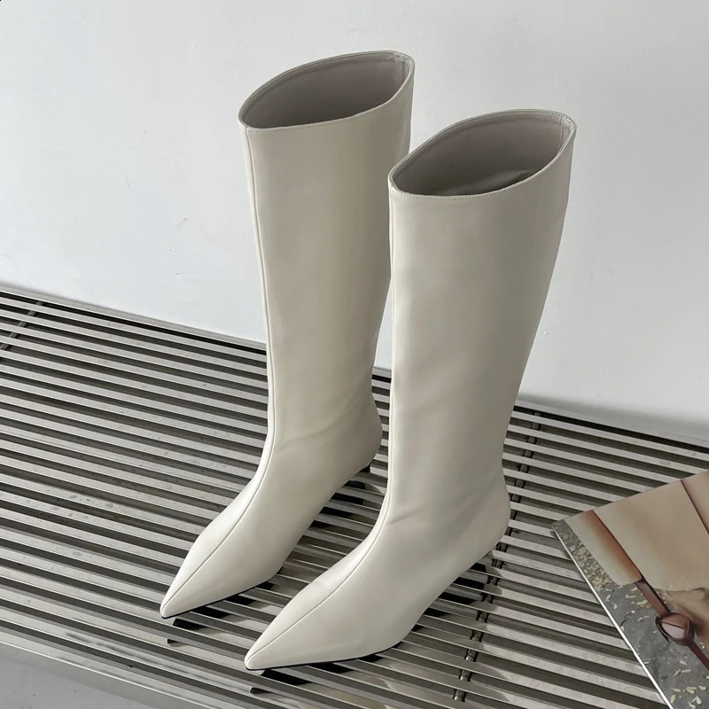 Eilyken Spring Autumn Comfortable Point Toe Womens Knee High Boots High Quality Skating Boots Casual Dress Womens Shoes 240827