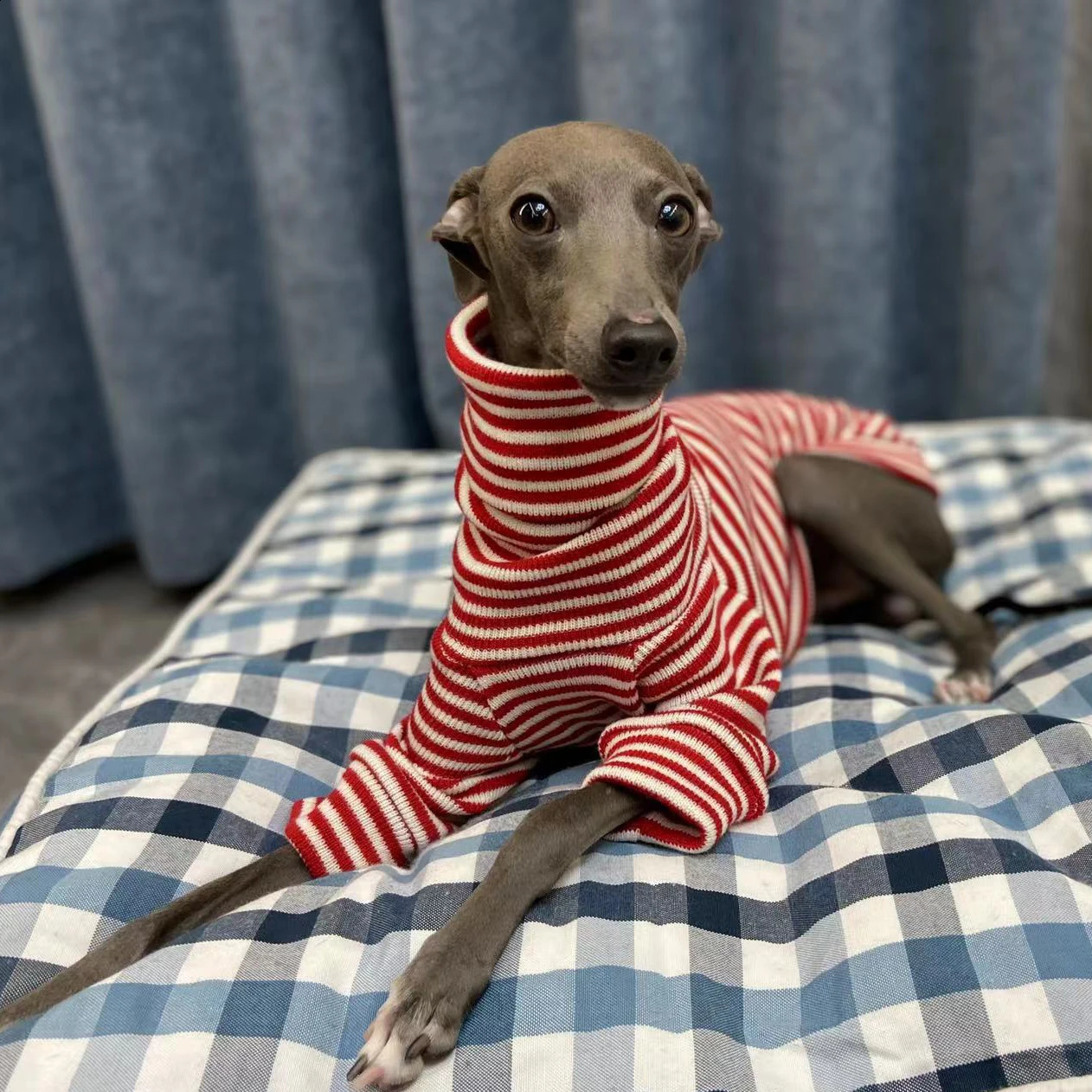 Italian Greyhound Red Striped Sweater Whippet Turtleneck Coat Stretch Warm Pet Clothing 240827