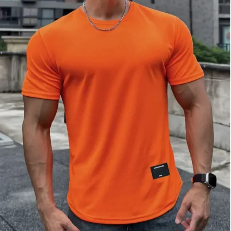 mens summer short sleeved fitness Tshirt running sports muscle casual highquality top 240827