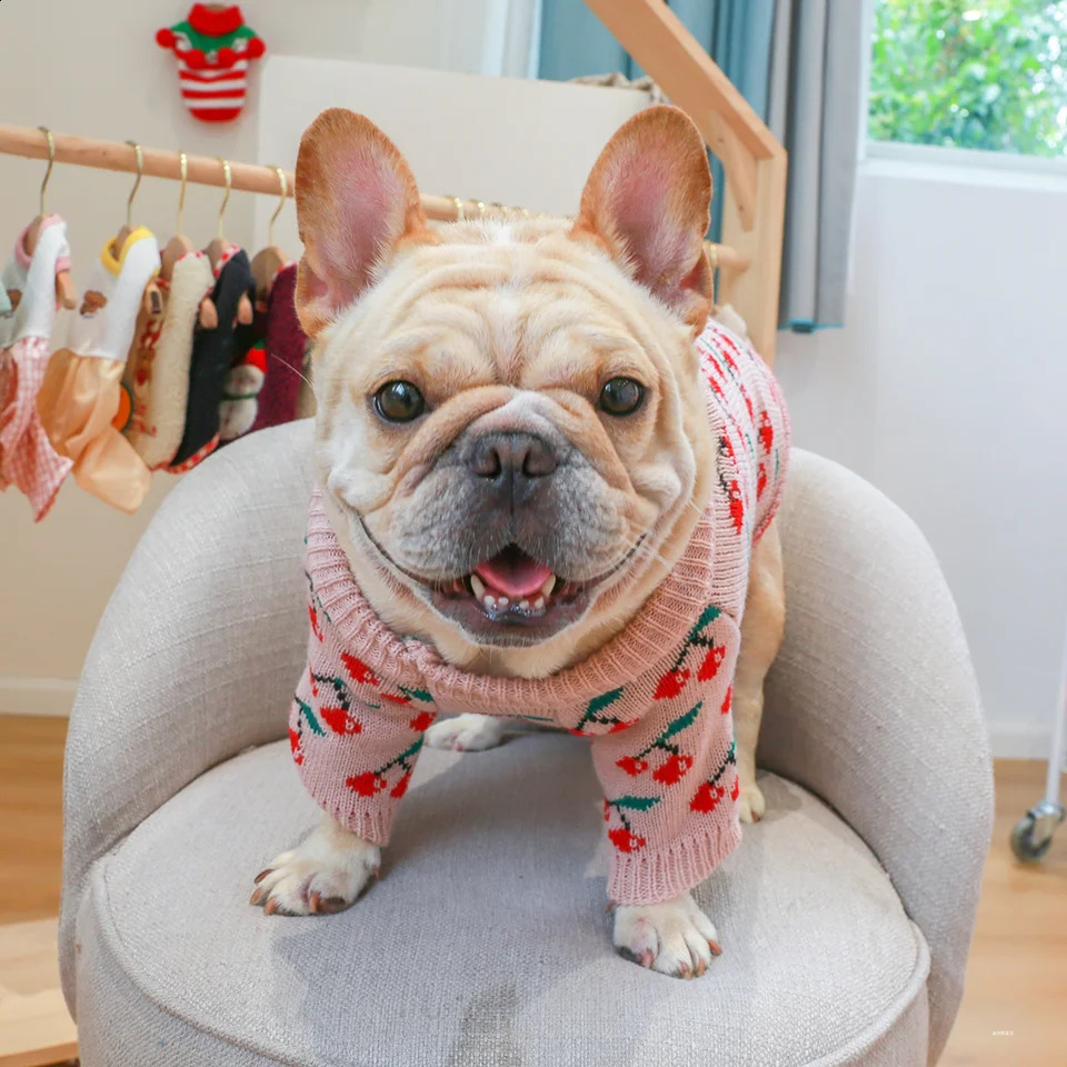 1PC Pet Clothing Cat Autumn Winter Thickened Warm Pink Cherry Elastic Pullover Knitted Sweater Suitable for Small and Medium Dog 240827