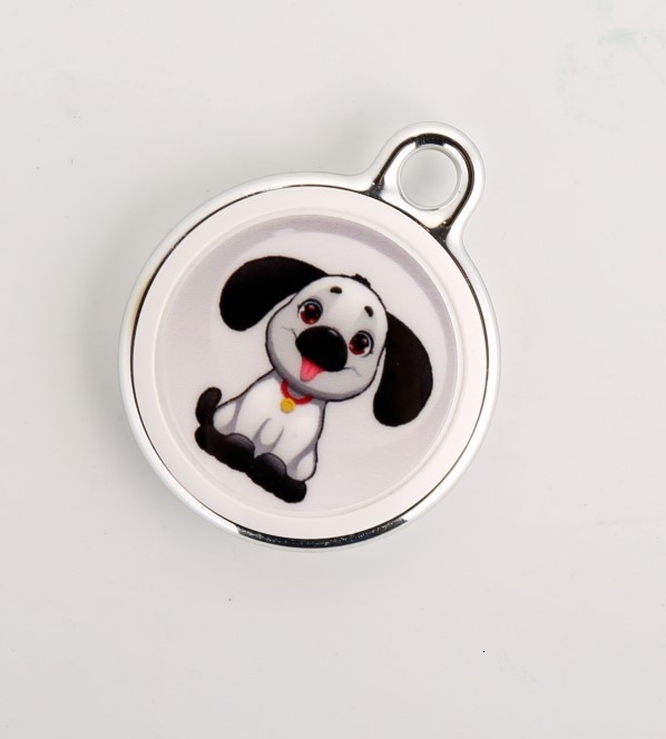 Pet positioning alarm, smart key loss prevention device, pet tracking pendant, finder, cat, dog collar