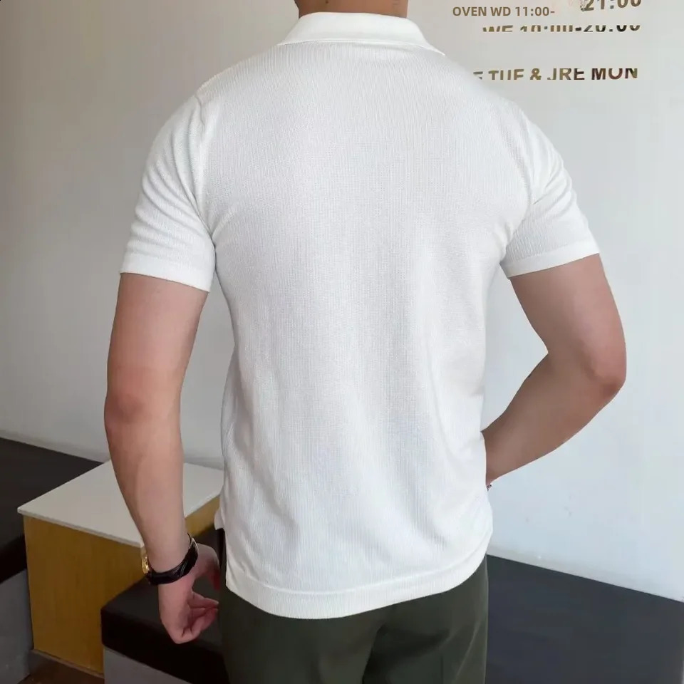 Japanese Youth Fashion Summer Standard Short Sleeve Trendy Edition Simple Polo Shirt Mens Wear 240829