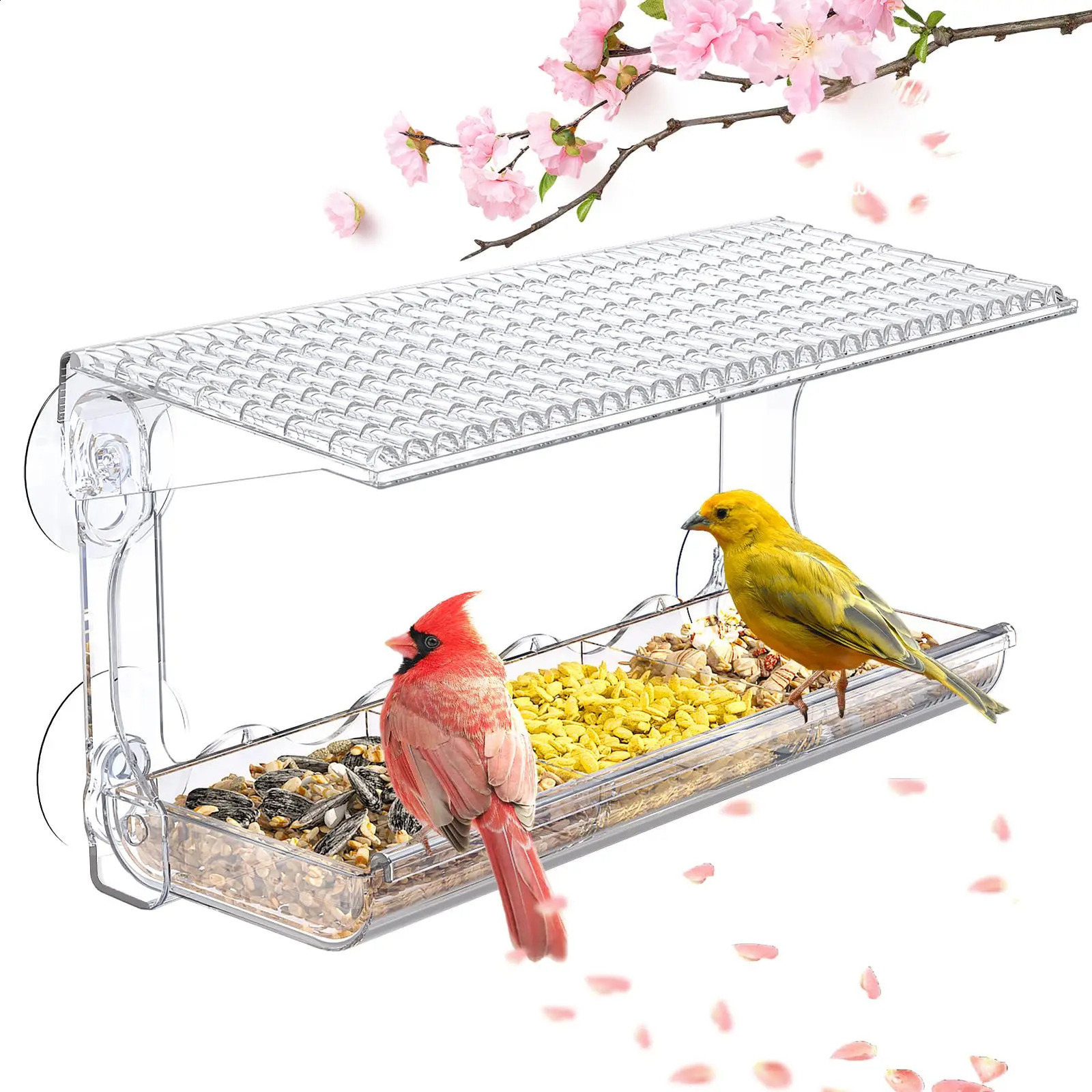 Window Viewing Bird Feeder for Outdoors Clear Feeders Mounted with Suction Cups Transparent House Outside Wild 240827