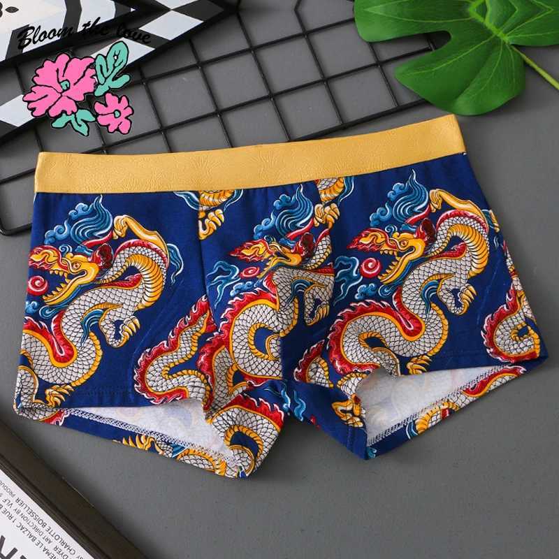 Underpants Brand New Fashion Dragon Breathable Boxer Men Underwear Cotton Boxershort Mens Boxers Man Size Plus M-3XL XS605 Y2408280I59