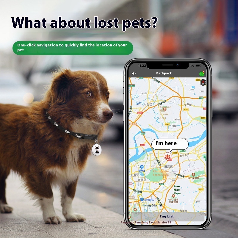 Pet positioning alarm, smart key loss prevention device, pet tracking pendant, finder, cat, dog collar