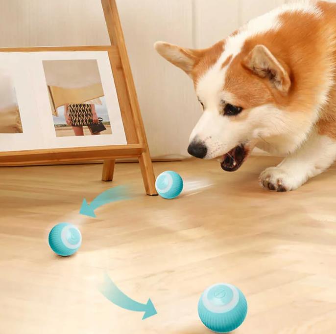 New Smart Auto-Rolling Electric Dog & Cat Ball Toy for Interactive Indoor Play High quality pet toys Pet Supplies Store