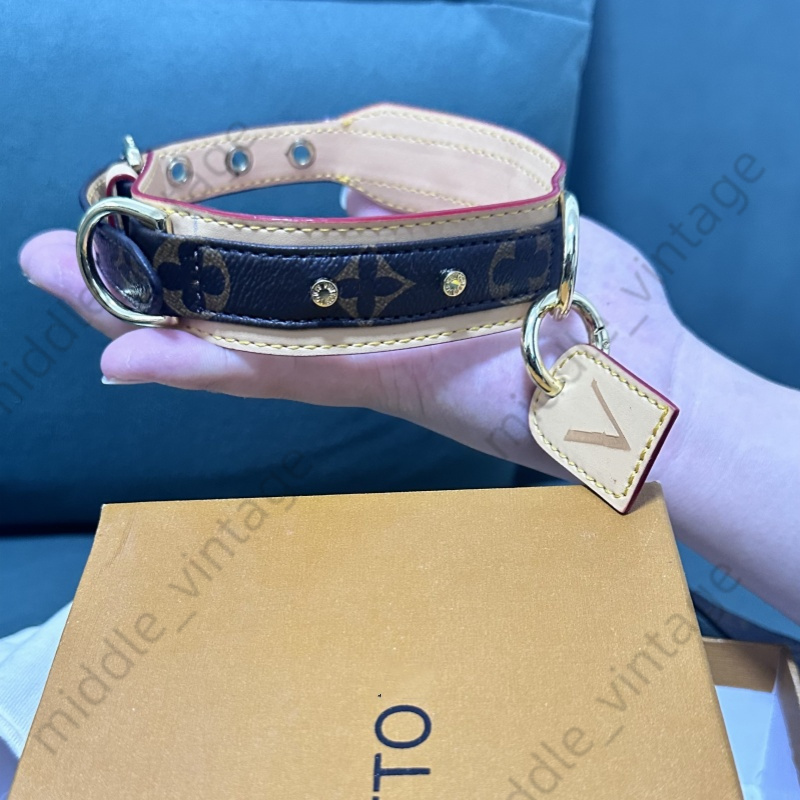 Leather Breakaway Pet Collar for Small to Medium Dogs wer Print FDA Certified 2024 Design