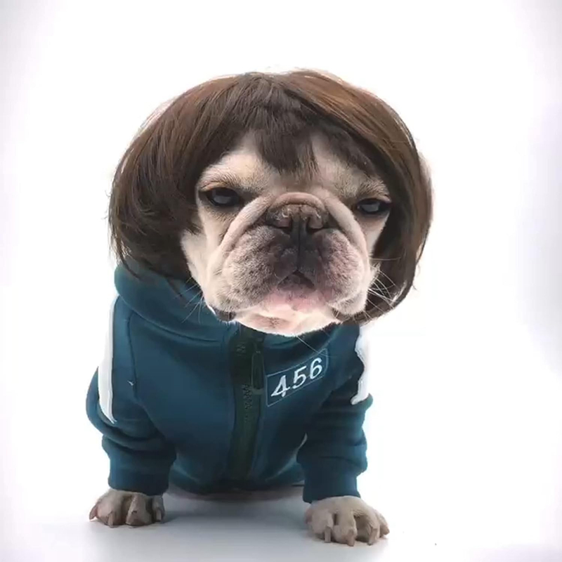 Funny Dog Cat Cosplay Wig,Pet Wigs for Halloween, Christmas, Parties, Festivals, Dog Wigs for Small Medium and Large Dogs (Black Brown Straight) N01