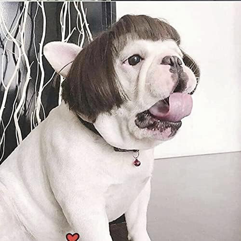 Funny Dog Cat Cosplay Wig,Pet Wigs for Halloween, Christmas, Parties, Festivals, Dog Wigs for Small Medium and Large Dogs (Black Brown Straight) N01