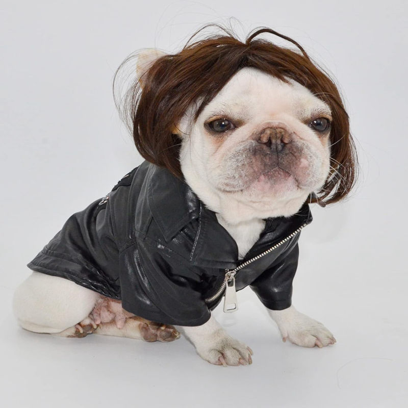 Funny Dog Cat Cosplay Wig,Pet Wigs for Halloween, Christmas, Parties, Festivals, Dog Wigs for Small Medium and Large Dogs (Black Brown Straight) N01