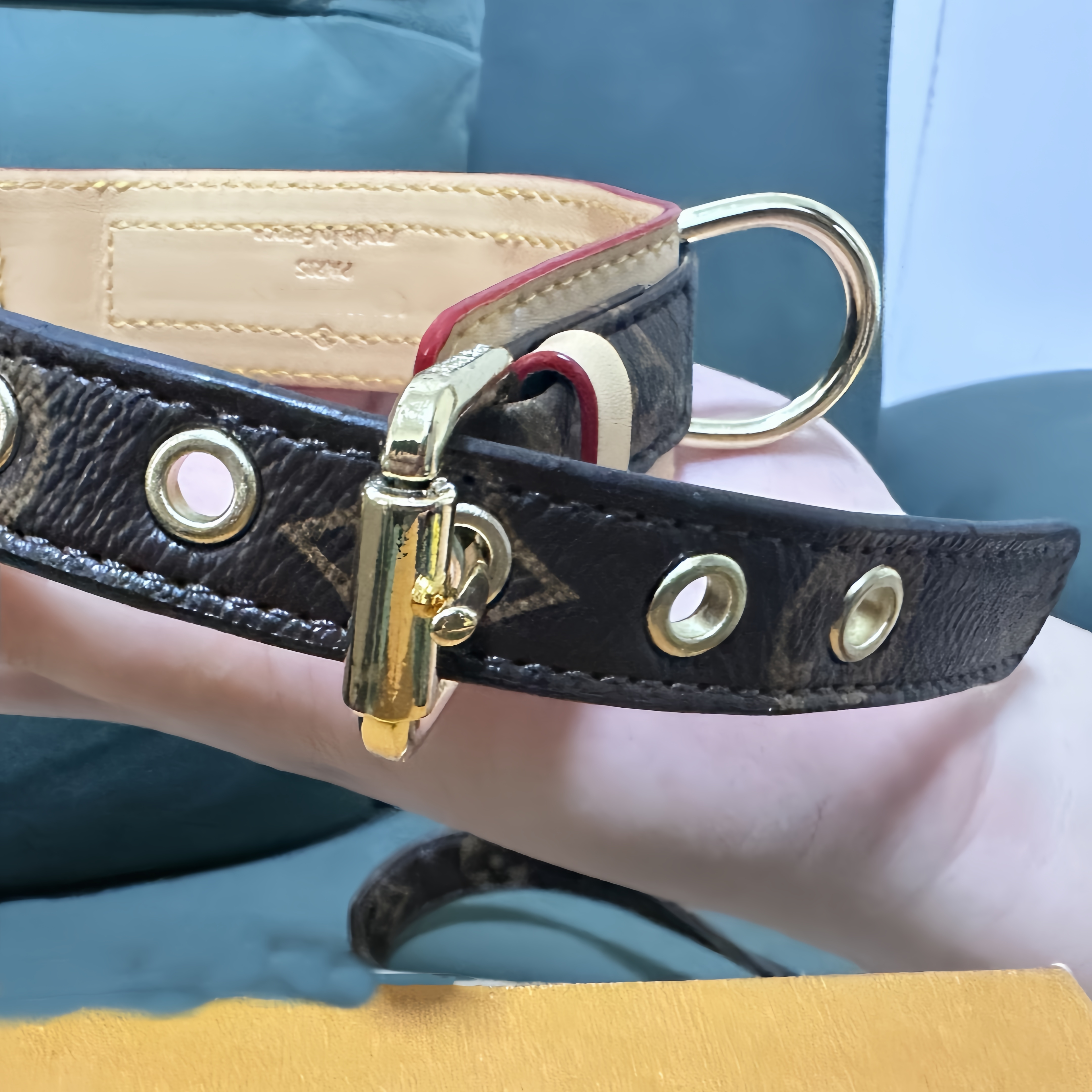 Leather Breakaway Pet Collar for Small to Medium Dogs wer Print FDA Certified 2024 Design