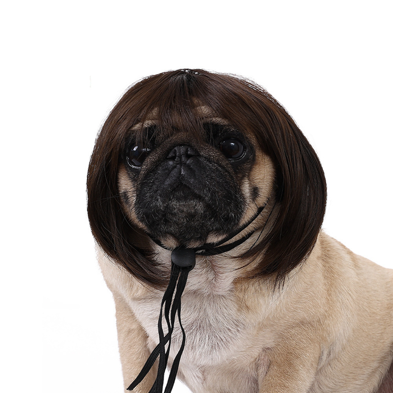 Funny Dog Cat Cosplay Wig,Pet Wigs for Halloween, Christmas, Parties, Festivals, Dog Wigs for Small Medium and Large Dogs (Black Brown Straight) N01