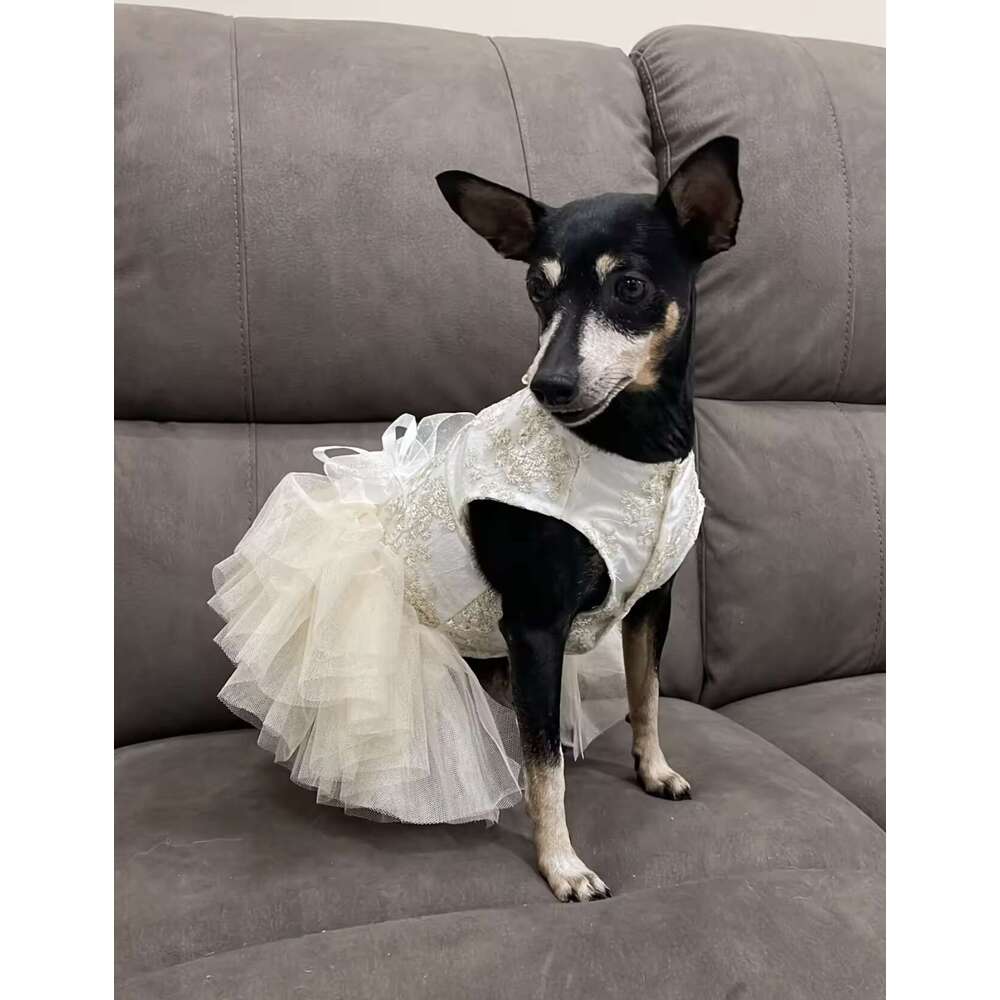 Wedding Dress Prom Party Princess Dresses for Small Dogs Dog Clothes Puppy Cat Costume White Pet Supplies cat clothes designer dress shirt pet clothes