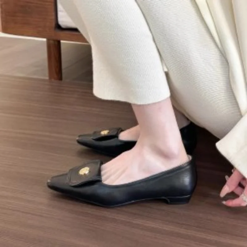 Women's 2024 Spring Pumps Fashion Slip On Low Heels Ladies Elegant Pointed Toe Mary Jane Shoes fa9d