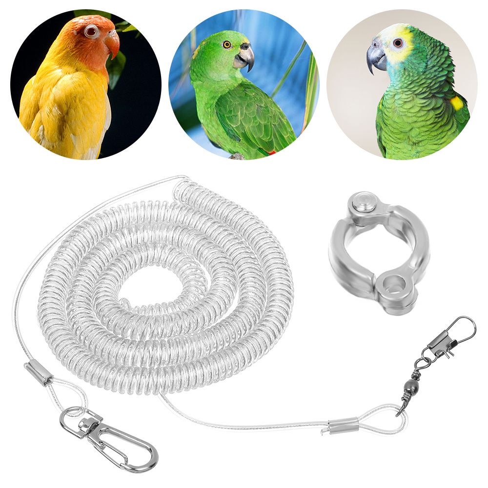 2025 new Parrot Bird Flying Training Leash Ultra-light Flexible Rope Anti-bite Leg Ring Harness Outdoor aw atiel Starling
