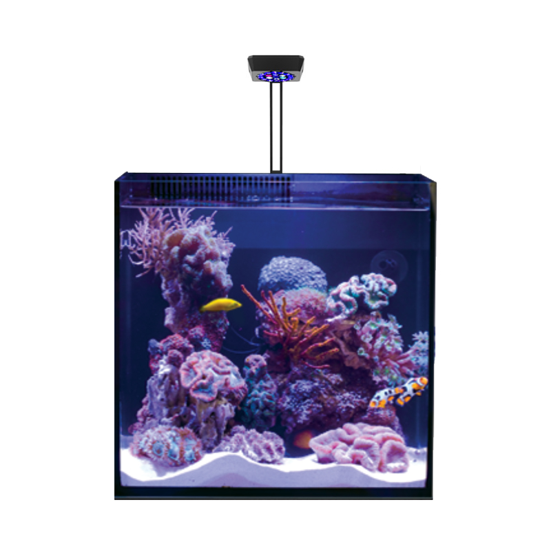 Smart Controlled 60 watt Saltwater Marine LED Reef Aquarium Blue Light for Sale