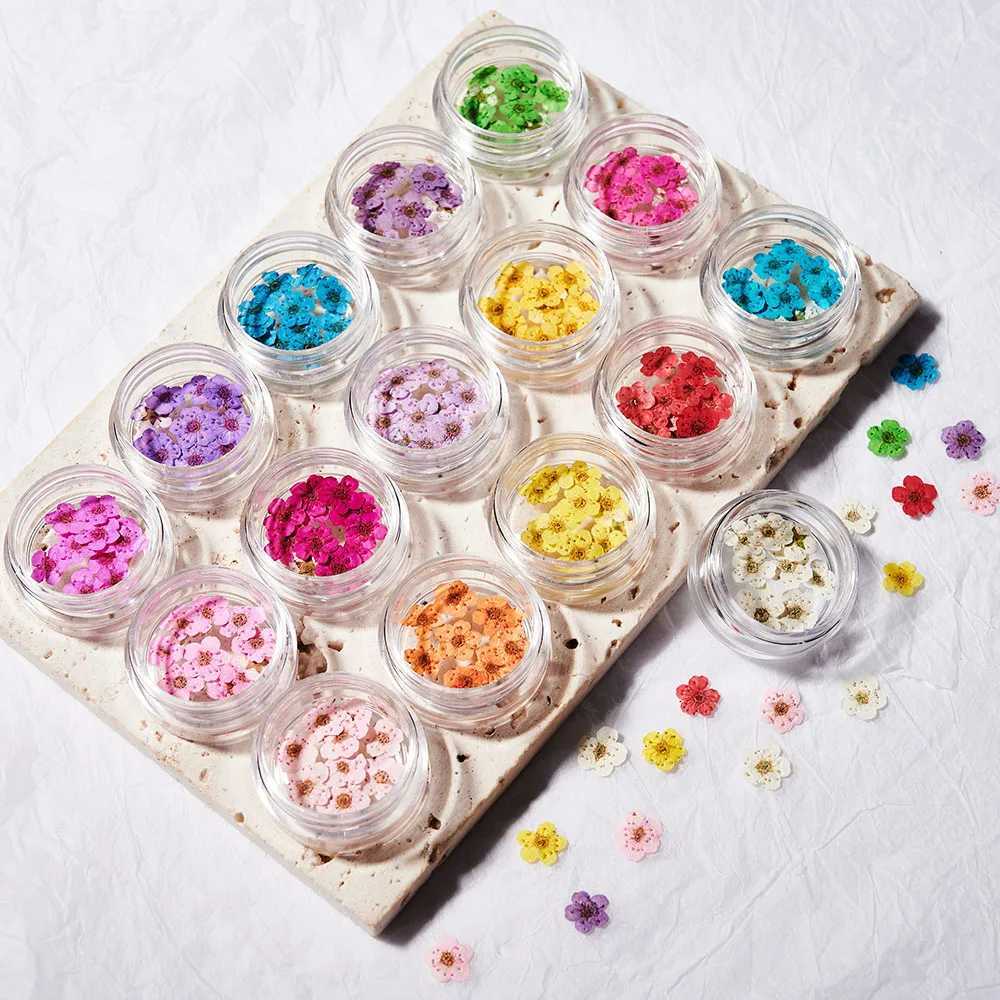 16 color natural mini dried flower nail charm 10pcs Y2K 3D dried flower nail art parts DIY sheet for ergonomic products W240829