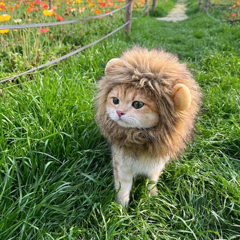 Lion Mane Wig for Cats, Pet Halloween Costume Cat Puppy Wig, Adjustable Washable, Cute Pet Hat for Cat Dog Costume Pet (Medium) N09