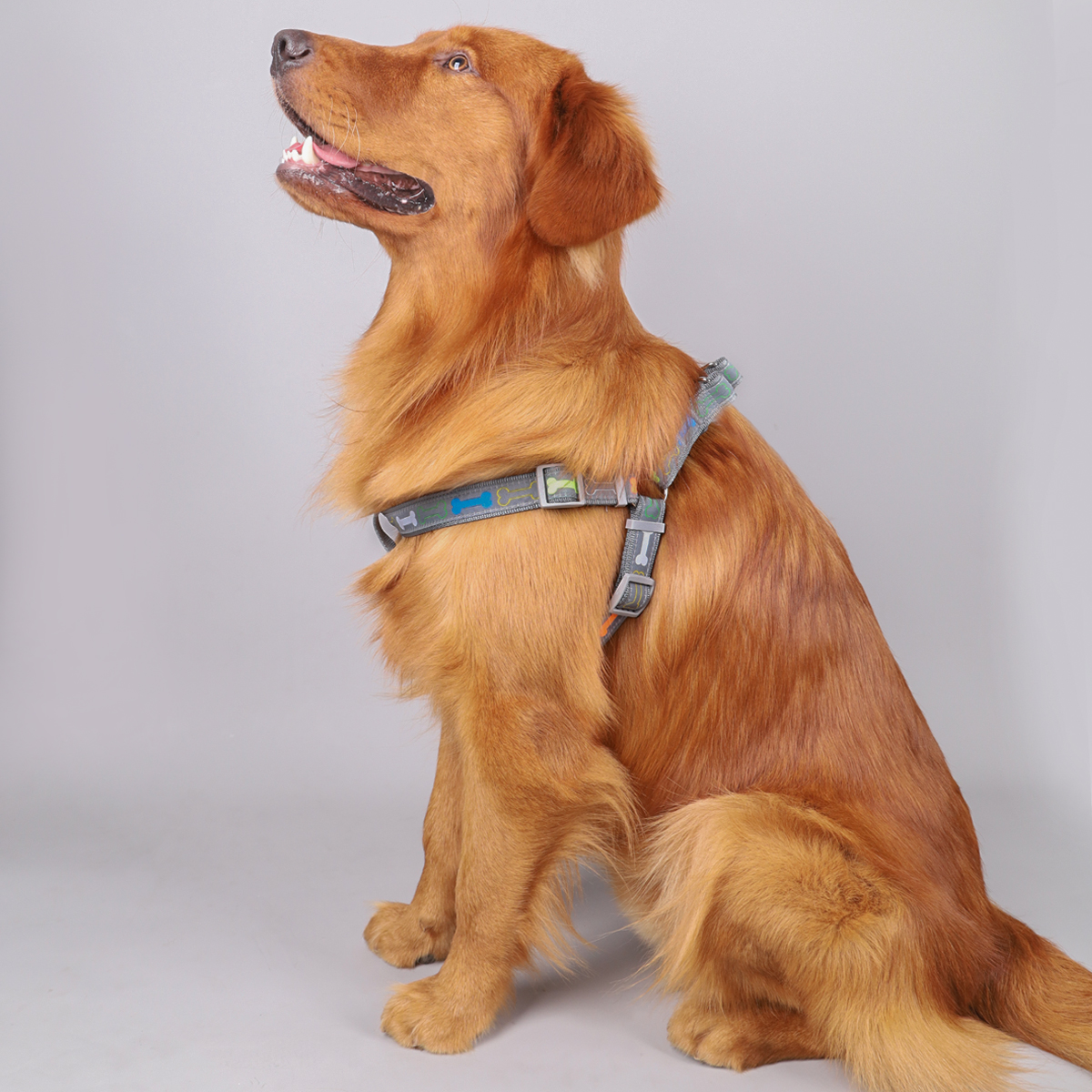 1PC Colorful Bone Tripod Pet Dog Harness For Indoor And Outdoor Use
