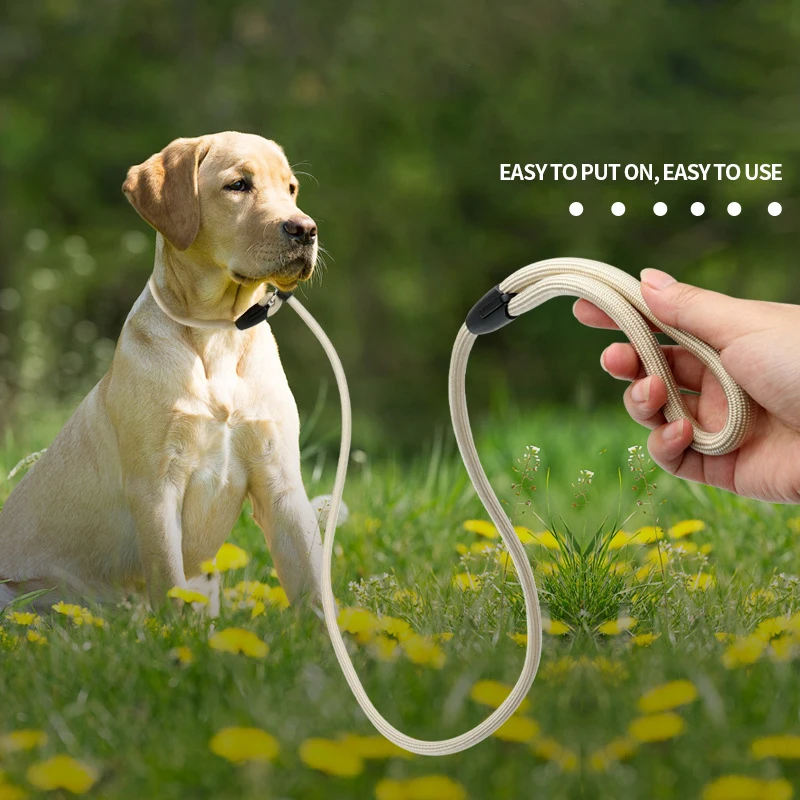 Nylon Dog Traction Rope Pull-resistant Pet Traction Rope P Chain Collar Adjustable for Large, Medium Small Dog Training Supplies
