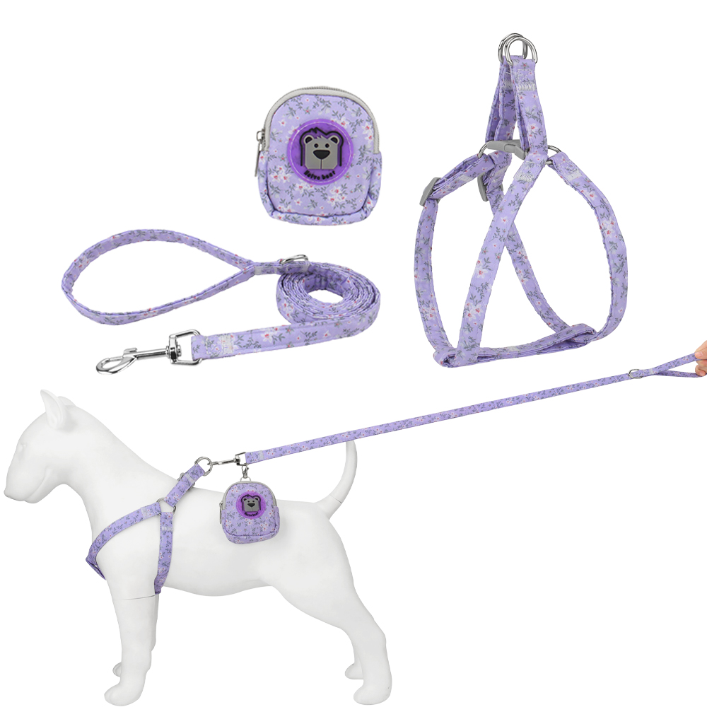 Pet Harness and Leash Set,Floral Dog Backpack Chest Harness Adjustable Size for Small To Medium Dogs and Cats Puppy Accessories