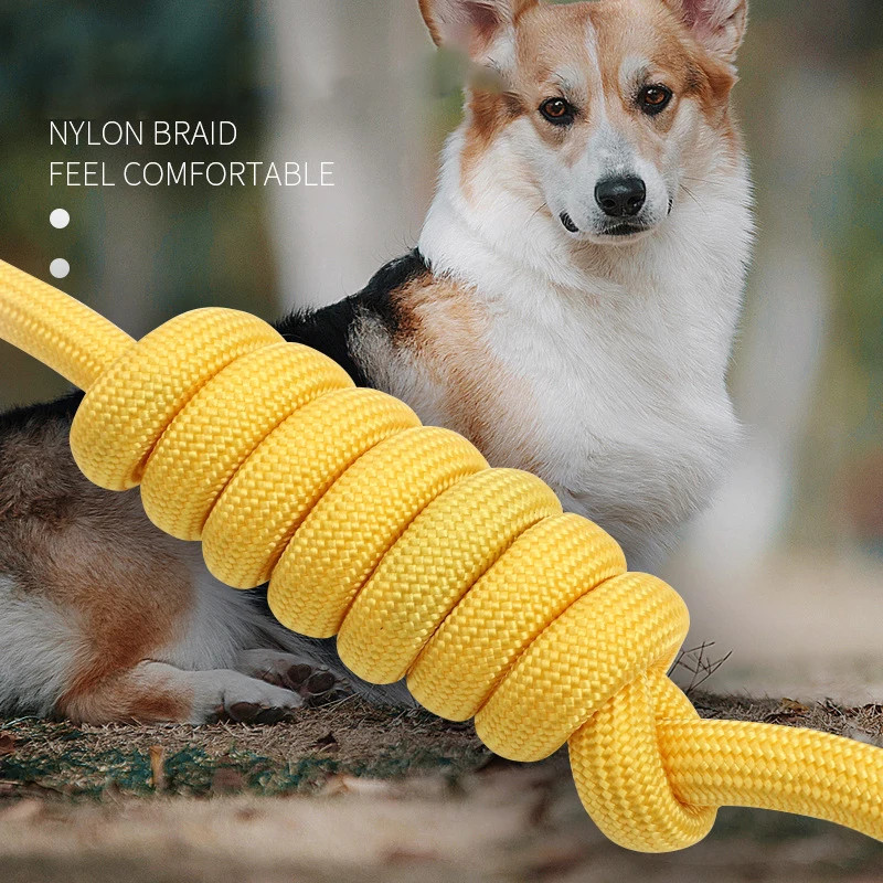 Nylon Dog Traction Rope Pull-resistant Pet Traction Rope P Chain Collar Adjustable for Large, Medium Small Dog Training Supplies