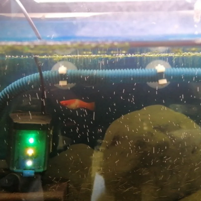 5 Pcs/set Aquarium Suction Cups Holder Fish Tank Sucker for Water Pump Tube Filter Hose Keep Stick Aquarium Accessories