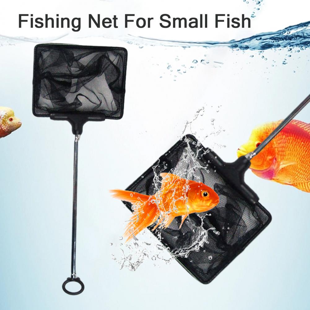 Retractable Fishing Net Fishing Net for Small Fish Extendable Handle Stainless Steel Fishing Nets for Aquariums Outdoor Camping