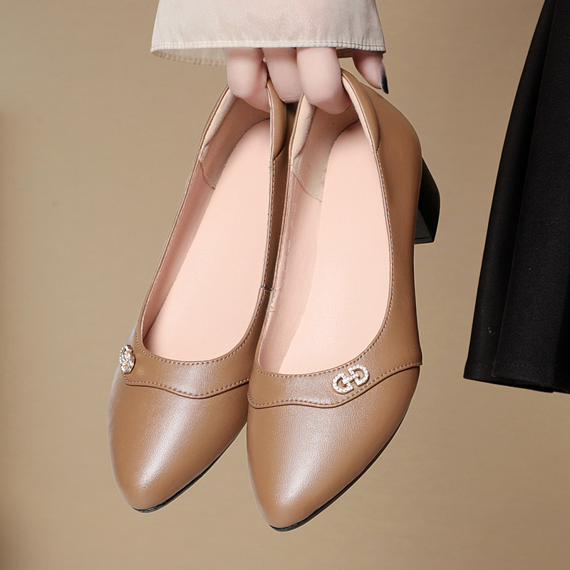 AIYUQI Women's Dress Shoes Spring 2024 New Genuine Leather Women's Office Shoes Large Size Ladies Shoes