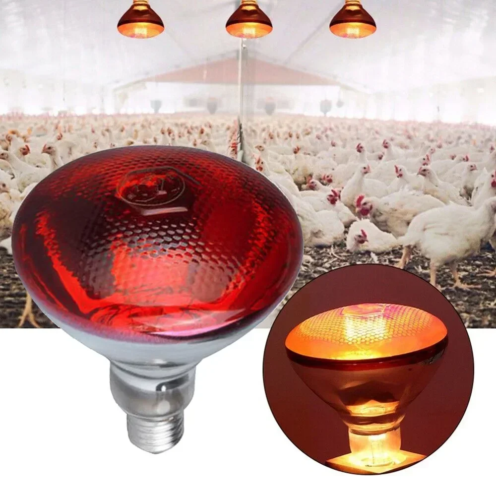 220V Poultry Heating Bulb 100/150/200/275W Infrared Insulation Heat for Reptiles Plants Amphibians Pets Livestock