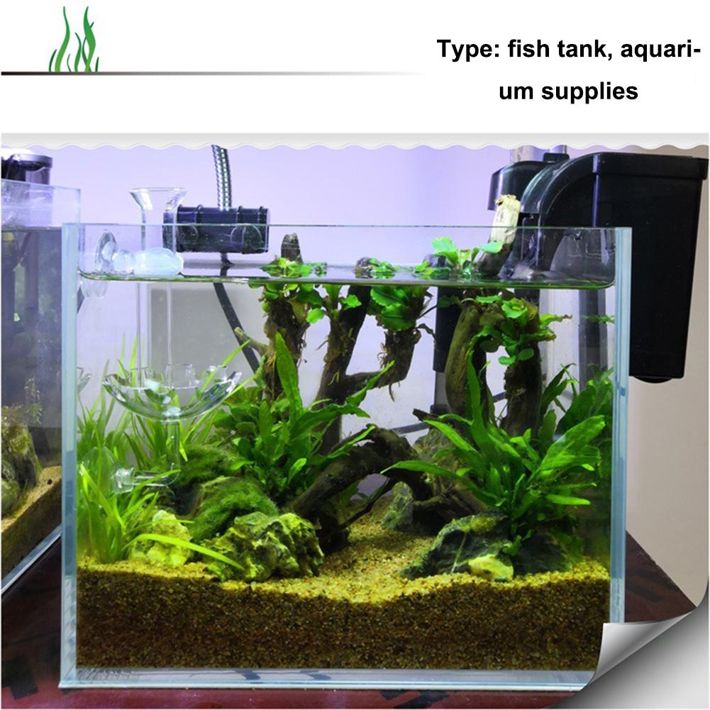 Aquarium Accessories Acrylic Shrimp Feeder Fish Bowl Plastic Tanks for Fish Farming Transparent Sustainable E-commerce Stores