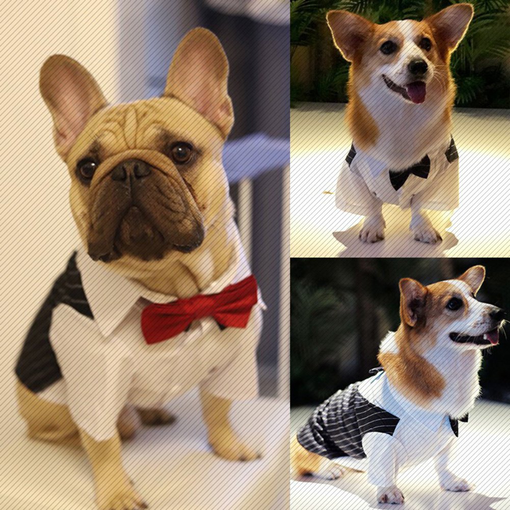 Dog Bow Tie Dress Dog Tuxedo Pet Four Seasons Can Wear British Style Bow Tie Suit Cholthes Button Suit Dog Clothing