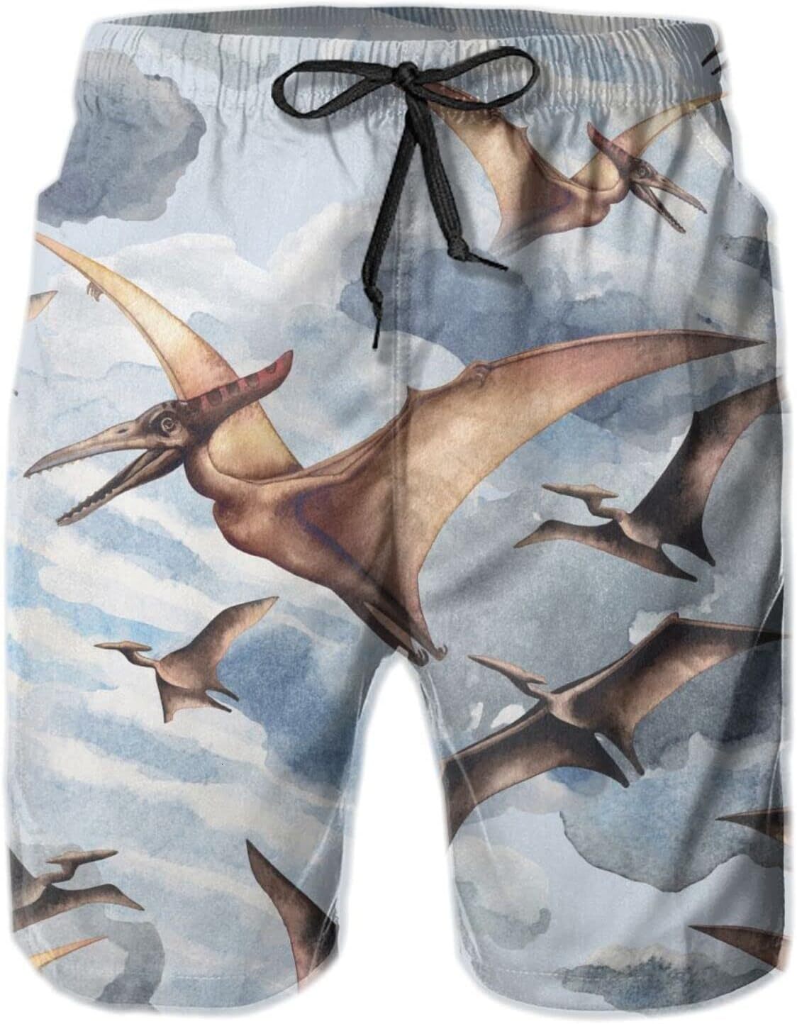 Mens Shorts 3D Printing Pattern Flying Pterodactyls Swim Trunks Quick Dry Casual Beach Board Swimwear