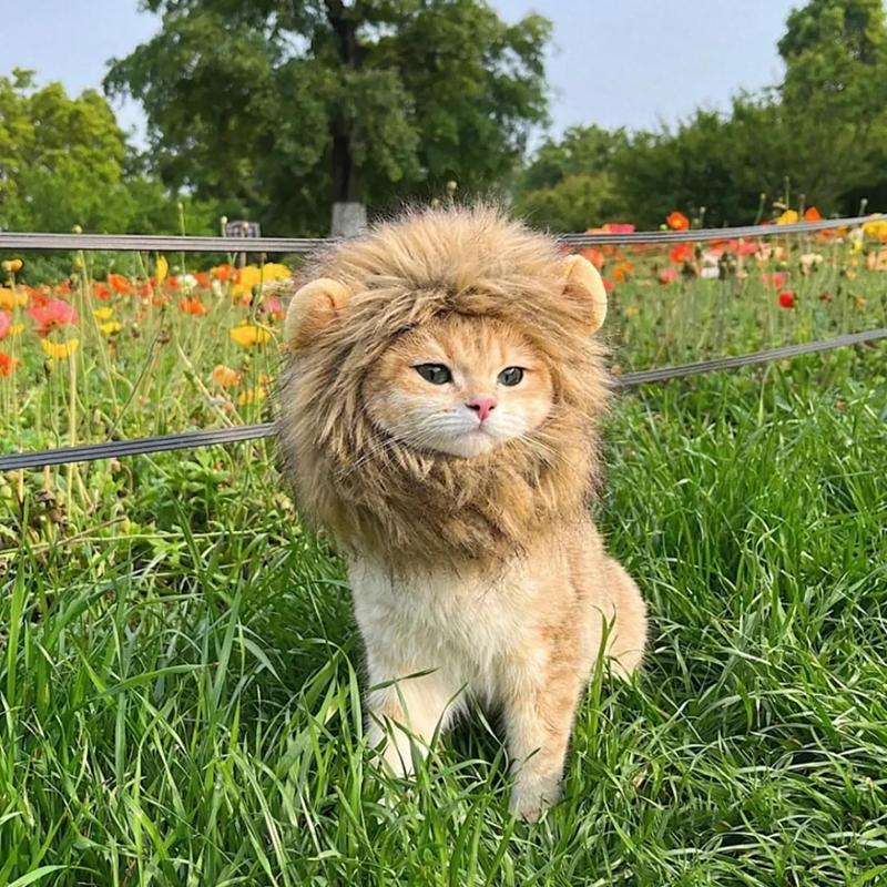 Lion Mane Wig for Cats, Pet Halloween Costume Cat Puppy Wig, Adjustable Washable, Cute Pet Hat for Cat Dog Costume Pet (Medium) N09