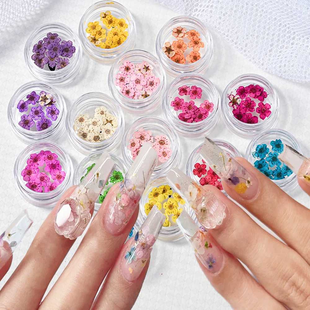 16 color natural mini dried flower nail charm 10pcs Y2K 3D dried flower nail art parts DIY sheet for ergonomic products W240829
