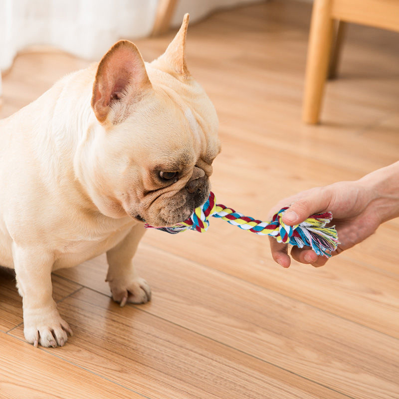 Dogs Toys Puppy Cotton Chew Rope Knot Toy Durable Braided Dog Toys Dog Cleaning Teeth Braided Bone Rope Juguetes Para Perro