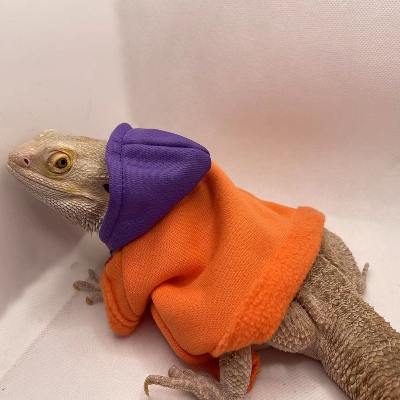 Lizards Clothes for Bearded Dragon Geckos Reptiles Apparel Hand-made Hoodies Skin Protection Sweater Coat for Party