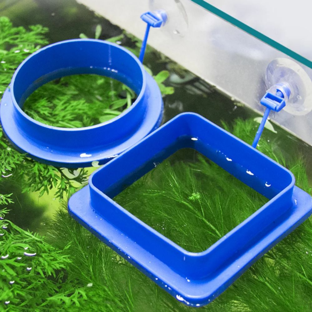 Fish Feeding Supplies Thicken Plastic Buoyancy Circle for Aquarium Floating Food Feeder Square/Round Feeding Ring