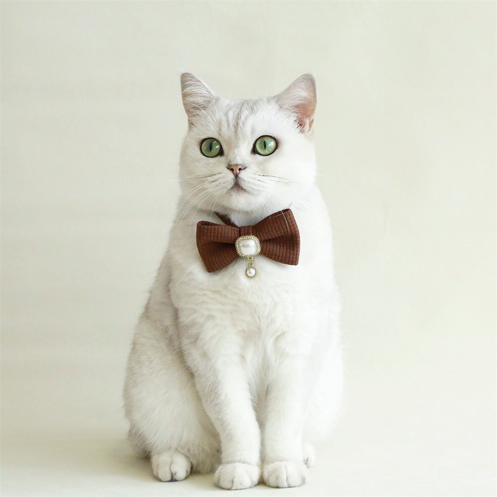 Bow Pet Collar Adjustable Cat Collar with Pearl Pendant Decoration Suitable for Cats Kitten and Puppies Accessories Pet Supplies