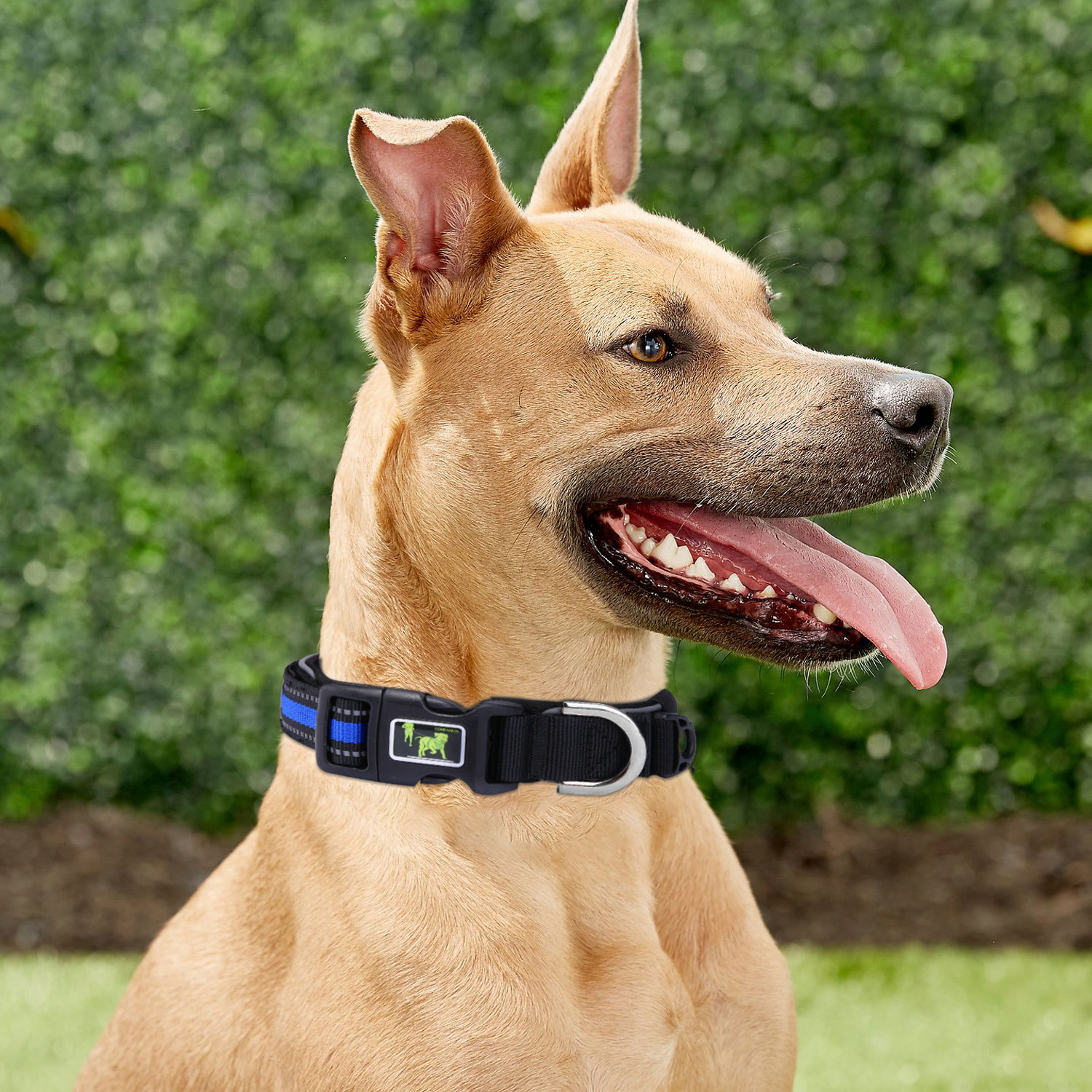 Nylon Reflective Pet Collar Small and Medium-sized Dog Pet Collar Mesh Comfortable & Breathable for Dog Out Training Dog Collar
