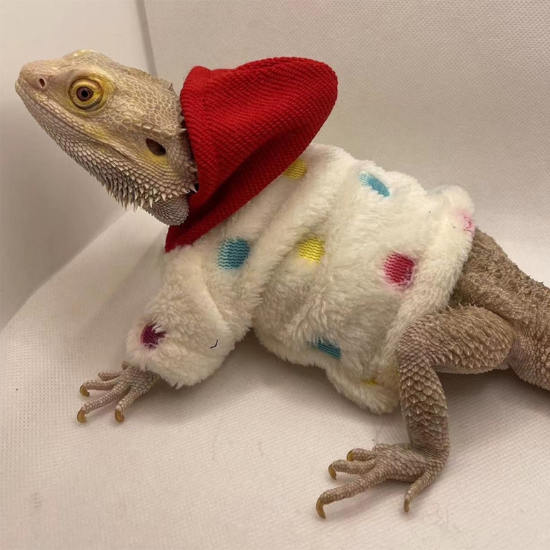 Lizards Clothes for Bearded Dragon Geckos Reptiles Apparel Hand-made Hoodies Skin Protection Sweater Coat for Party