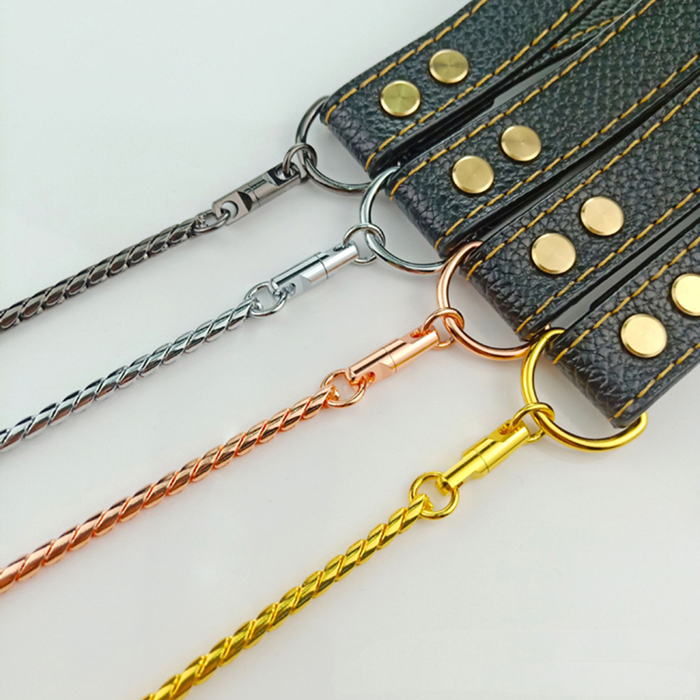Stainless Steel Dog Slip Lead Dog Chain Leash for Small and Big Dogs No Pull Puppy Pet Training Leash Slip Chain Collar for Dogs