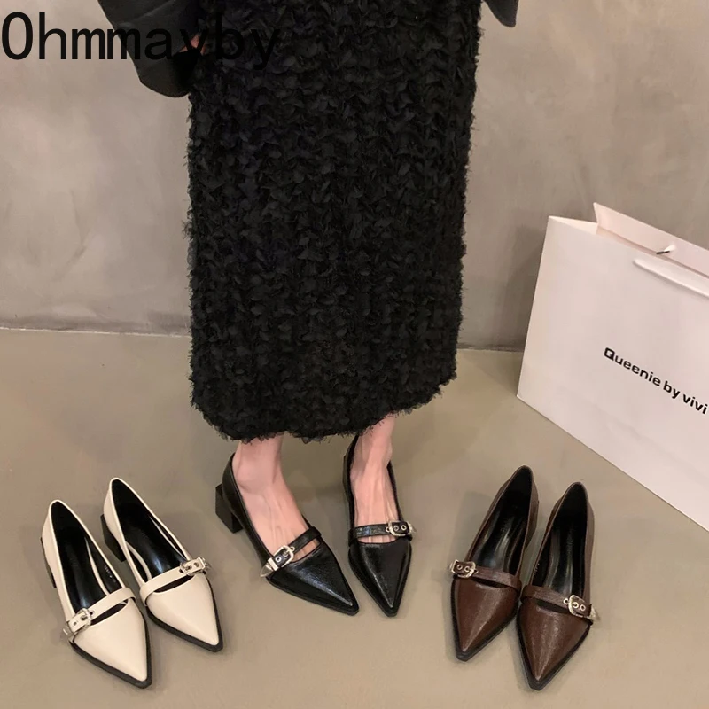 Pointed Spring Toe Women's Pumps Fashion New Elgant Square Heel Footwear Ladies Shallow Street Style Mary Jane Shoes 79ac