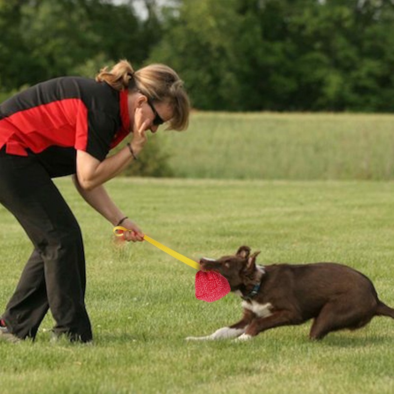 High Quality Thickened Nylon Webbing Pet Biting Pillow Grinding Teeth Pouncing Training Interactive Large Dog Toy